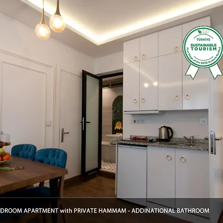 Blue Mosque 2 - Old Sultanahmet ホームステイ イスタンブール