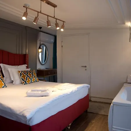 Δωμάτια σε οικογενειακή κατοικία Blue Mosque 2 - Old Sultanahmet